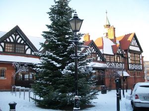Bray Town Hall, completed in 1881