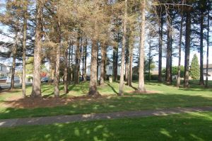 St Sarain's Cross at Fairyhill