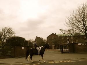 Horseman on the Long Mile