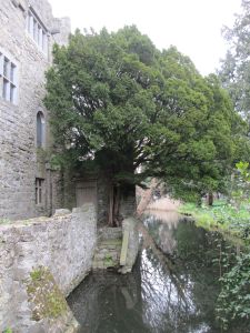 The Moat