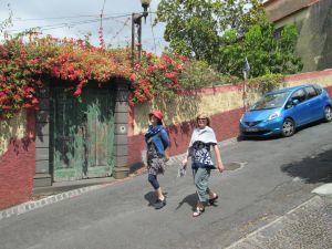Descending into Funchal